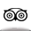 TripAdvisor